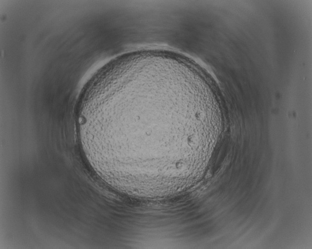 X0000073421271200608251541