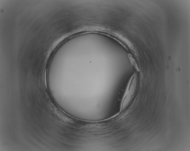 X0000073421272200608251541