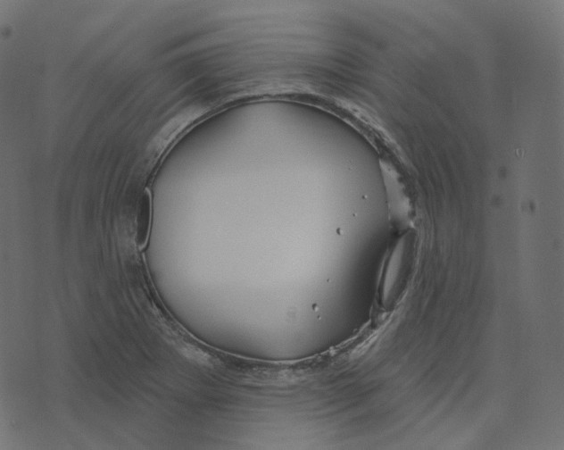 X0000073421273200608251541