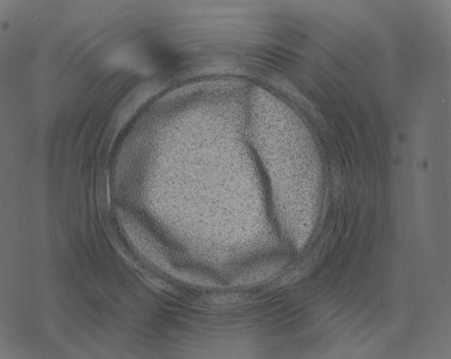 X0000073421274200608251541