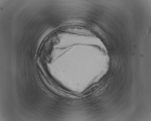 X0000073421275200608251541