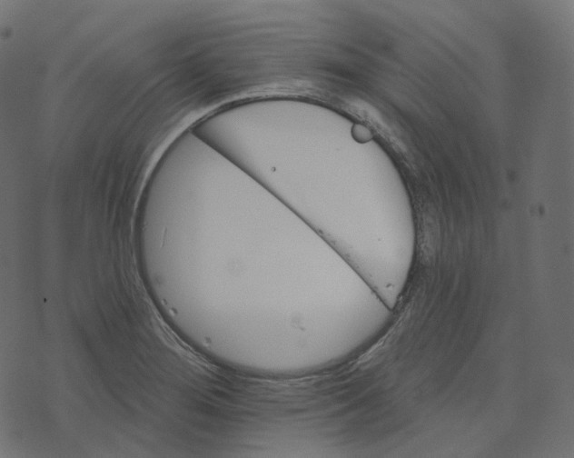 X0000073421276200608251541