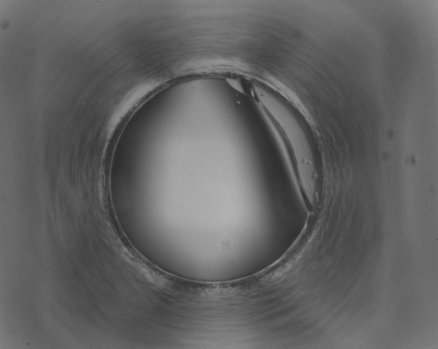 X0000073421277200608251541