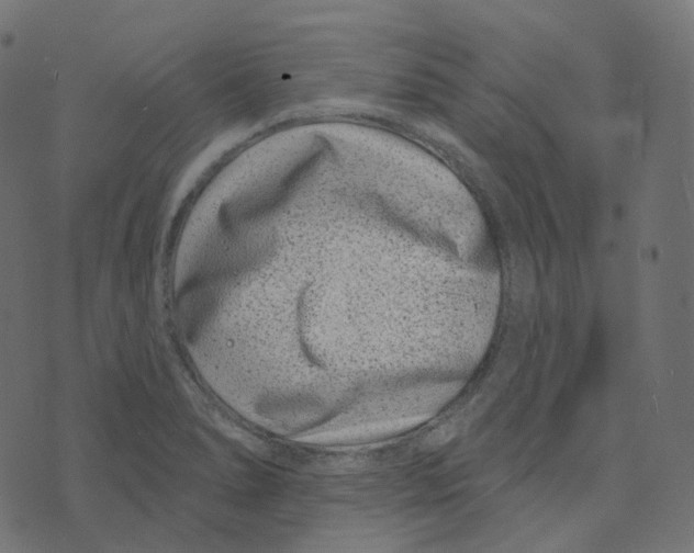 X0000073421278200608251541