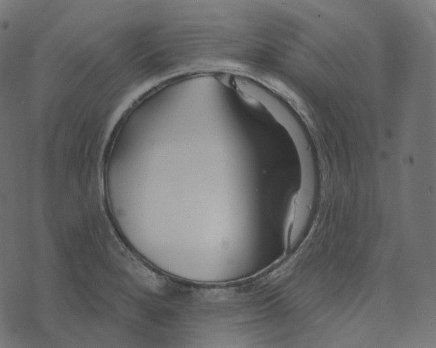 X0000073421280200608251541