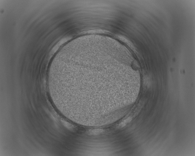 X0000073421282200608251541