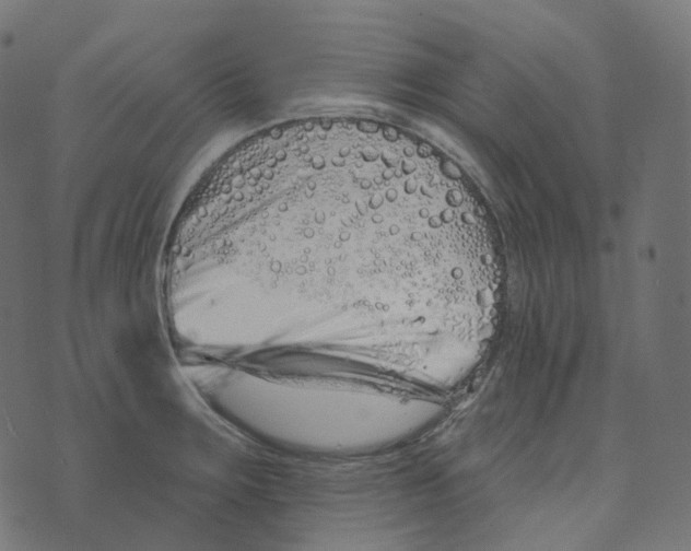 X0000073421283200608251541