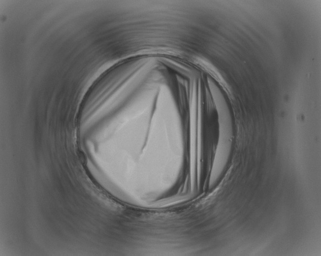 X0000073421284200608251541