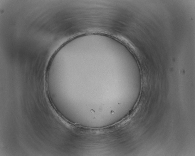 X0000073421286200608251541