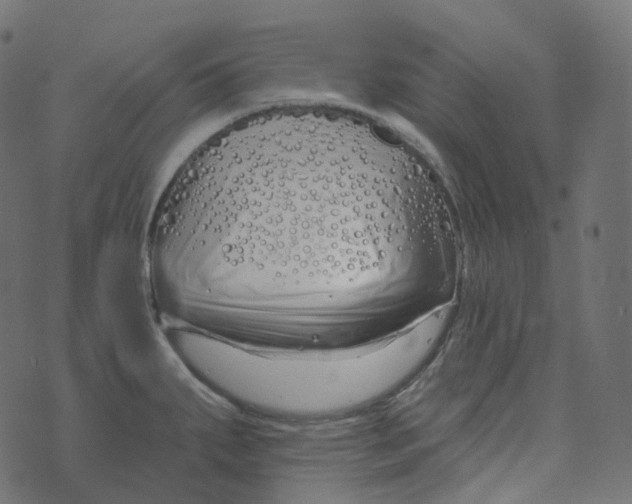 X0000073421287200608251541