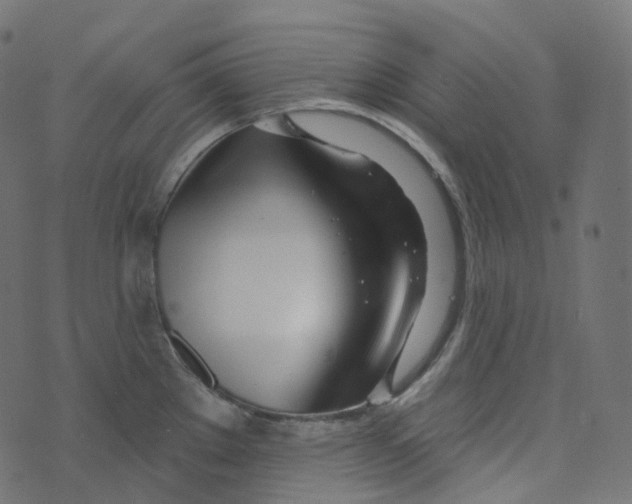 X0000073421289200608251541