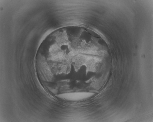 X0000073421291200608251541