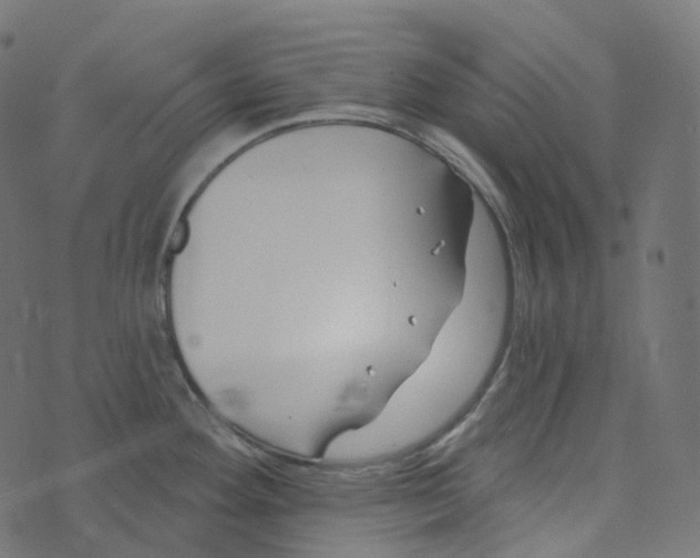 X0000073421292200608251540