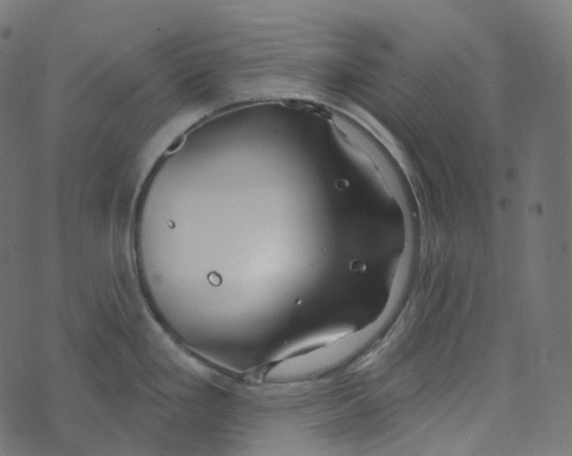 X0000073421293200608251540