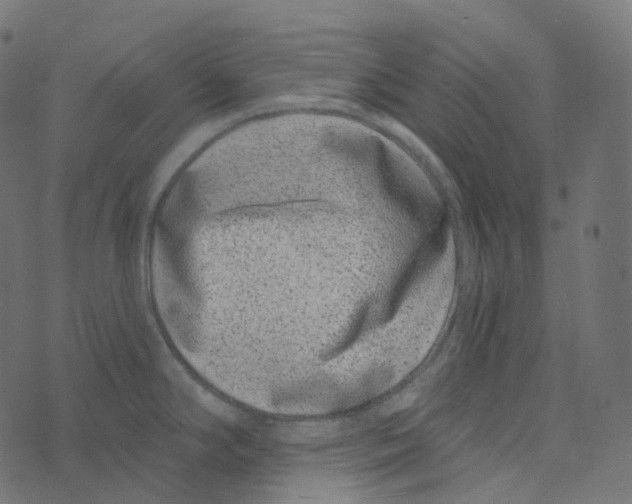 X0000073421294200608251540