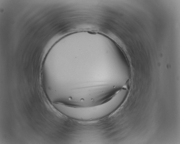 X0000073421296200608251540