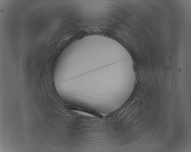 X0000073421297200608251540