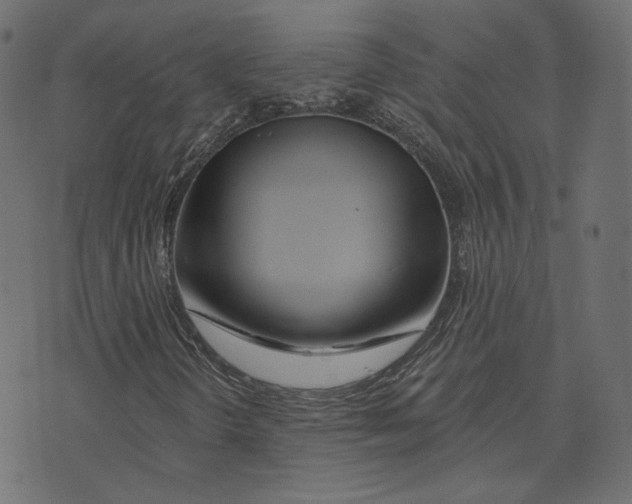 X0000073421298200608251540