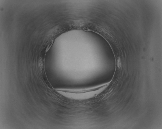 X0000073421299200608251540