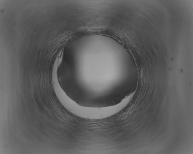 X0000073421300200608251540