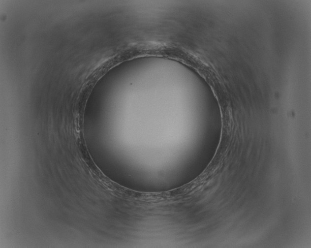 X0000073421301200608251540