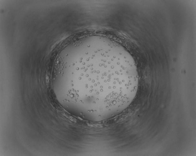 X0000073421302200608251540