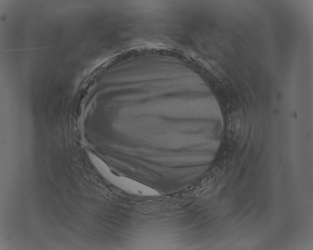 X0000073421303200608251540