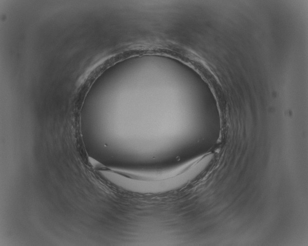 X0000073421304200608251540