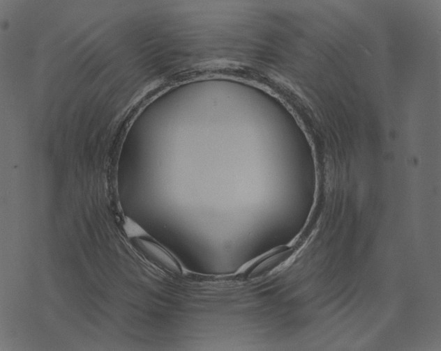 X0000073421305200608251540