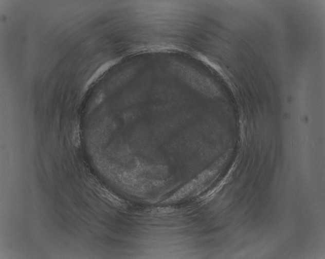 X0000073421306200608251540