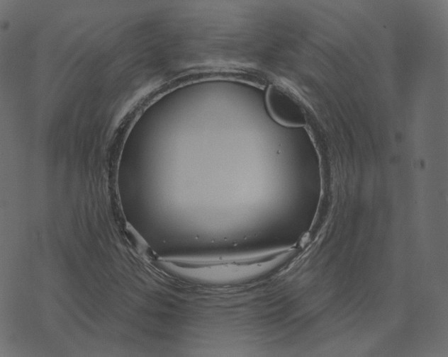 X0000073421307200608251540