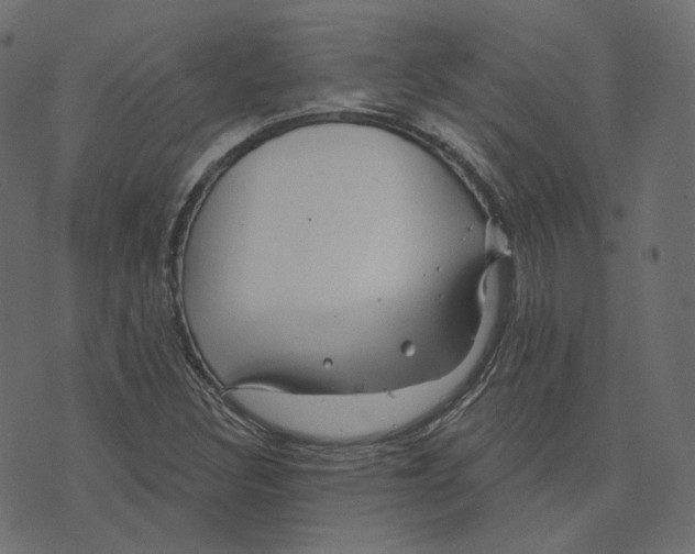 X0000073421308200608251540