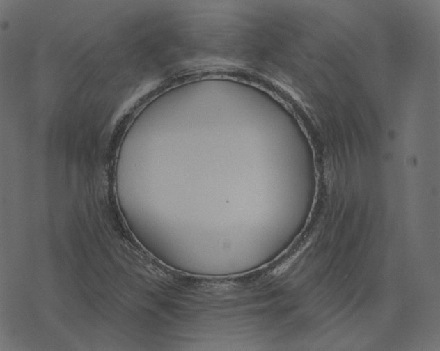 X0000073421309200608251540