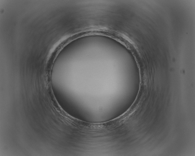 X0000073421310200608251540