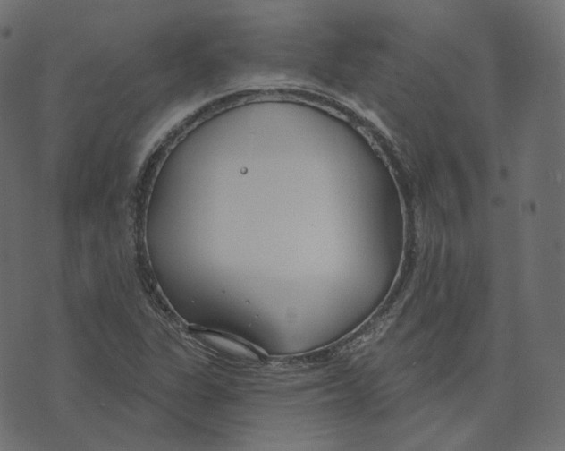 X0000073421311200608251540