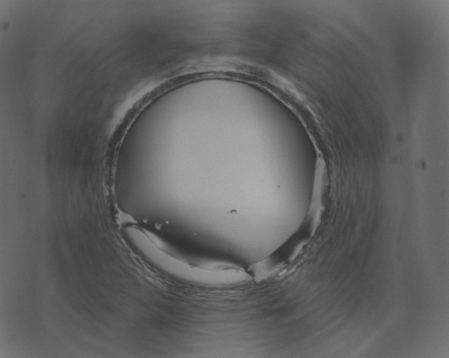 X0000073421312200608251540