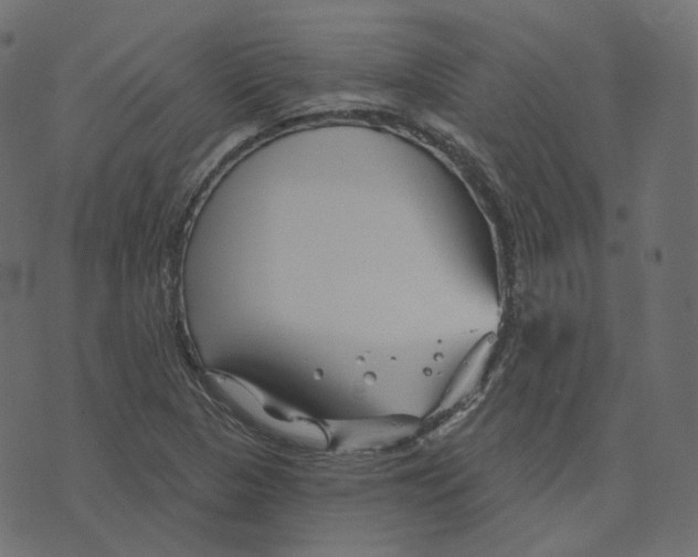 X0000073421313200608251540