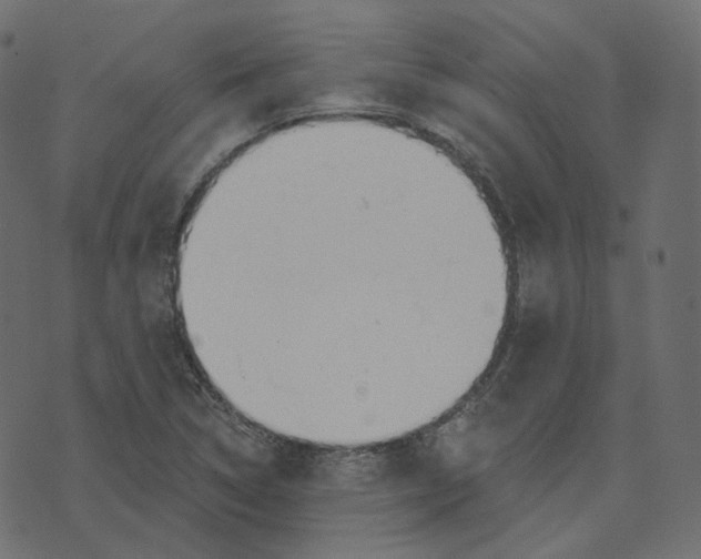 X0000073421314200608251540