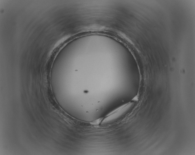 X0000073421315200608251540