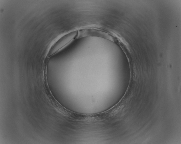 X0000073421316200608251540