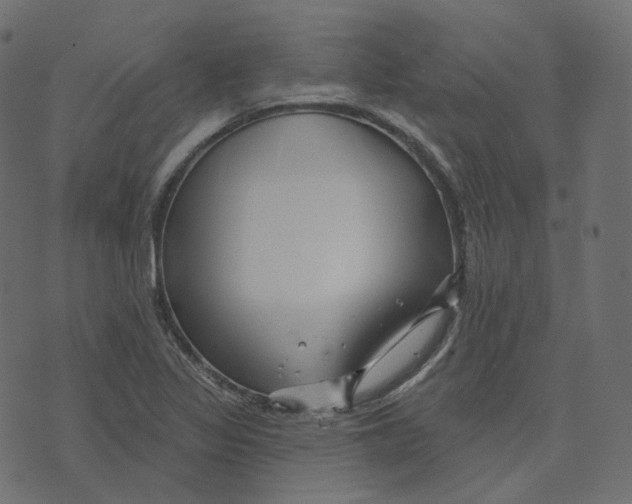 X0000073421317200608251540