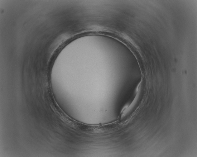 X0000073421318200608251540