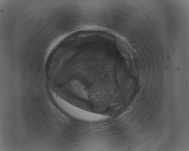 X0000073421319200608251540