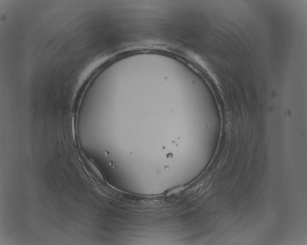 X0000073421320200608251540