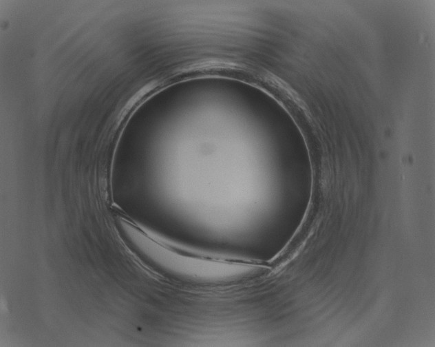 X0000073421321200608251540