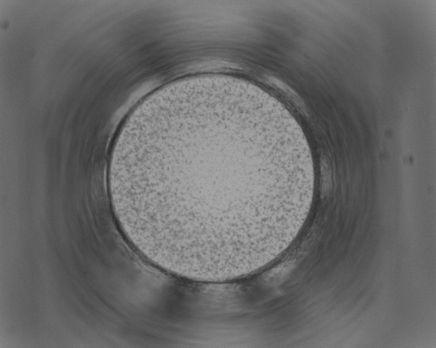 X0000073421322200608251540