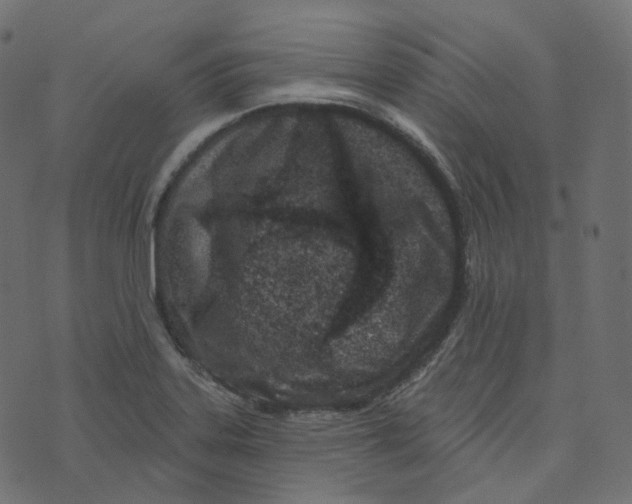 X0000073421323200608251540