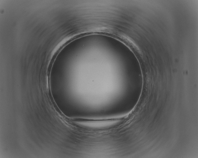 X0000073421324200608251540