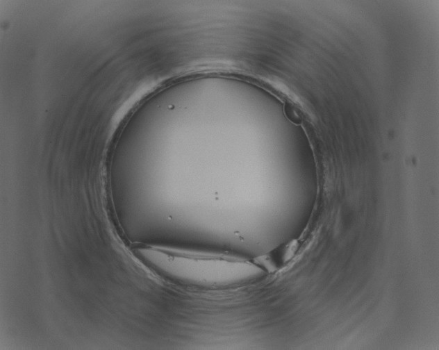 X0000073421325200608251540