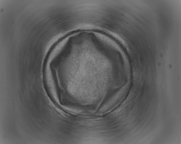 X0000073421327200608251540